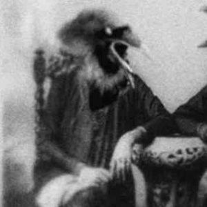 Meet your Posher, Jane